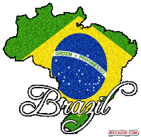 z orgulho brasileiro3