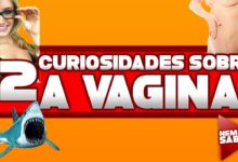 12 curiosidades sobre a vagina