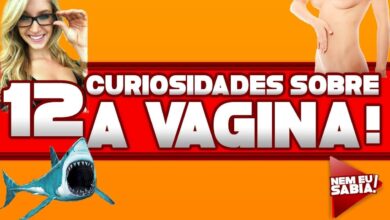 12 curiosidades sobre a vagina