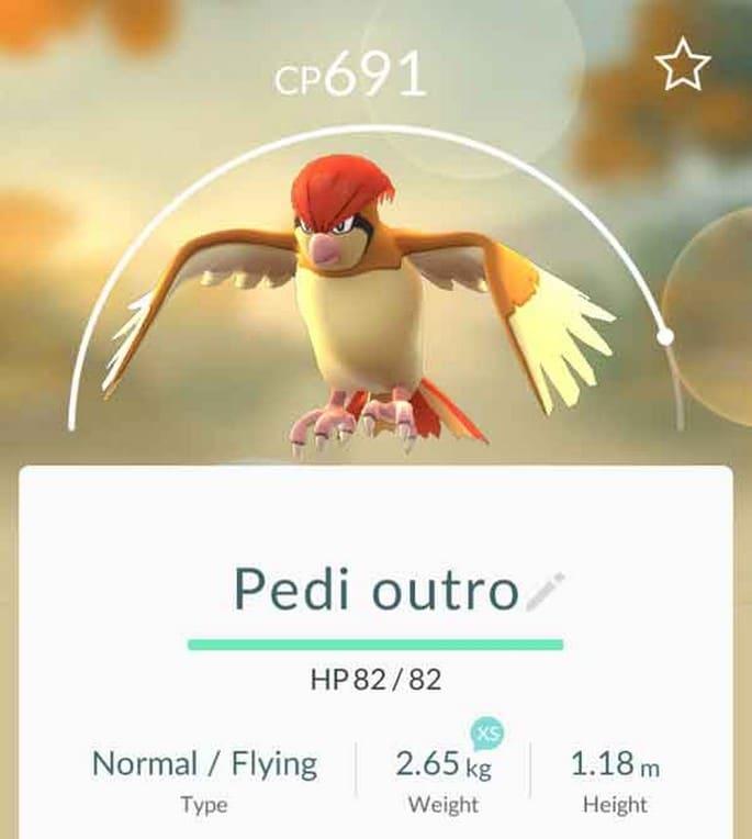Brasileiros dão nomes a Pokémons e torna viral na internet! (11)