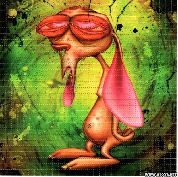O maior colecionador de LSD em cartela do mundo 3