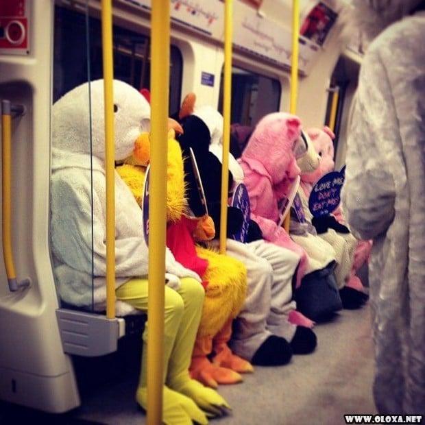pessoas esquisitas no metrô (14)
